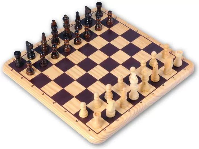 Koopje Boekhouder Kinderen Houten schaakspel kopen