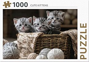 Cute Kittens - REBO 1000