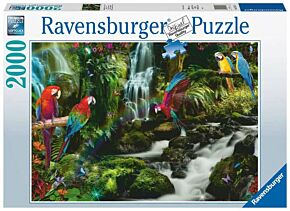 Bonte papegaaien in de jungle Ravensburger