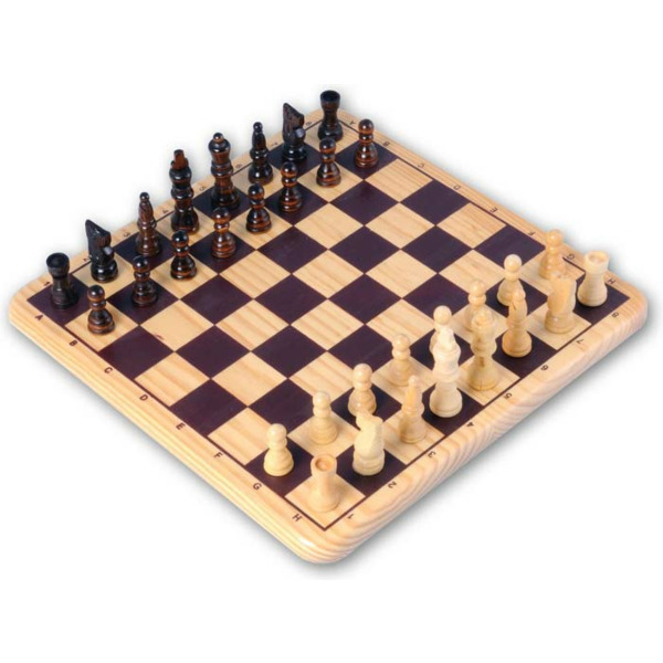 plein Cerebrum vaak Houten schaakspel kopen